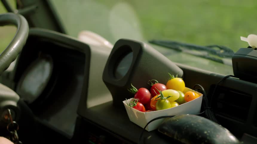 Colorful small tomatoes arranged in a white container on a vehicles dashboard