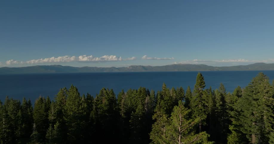 Tall trees line the lake