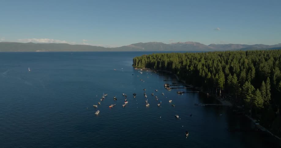 Trees line the edge of the water