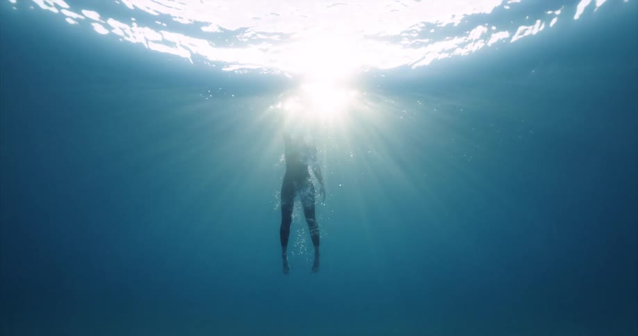 An adult swims up to the surface of a body of water