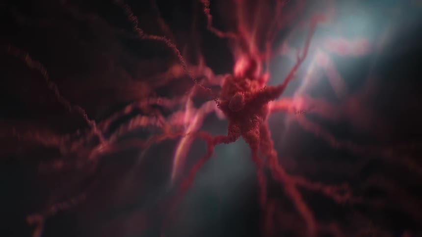Detailed view of a neural structure with abstract branching patterns