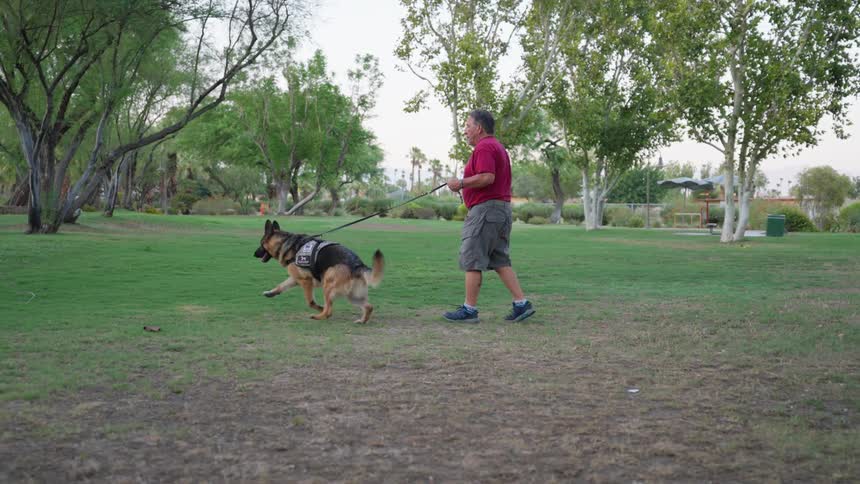 A man walks his dog in the park
