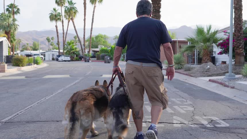 An older man walks his two dogs down a residential street