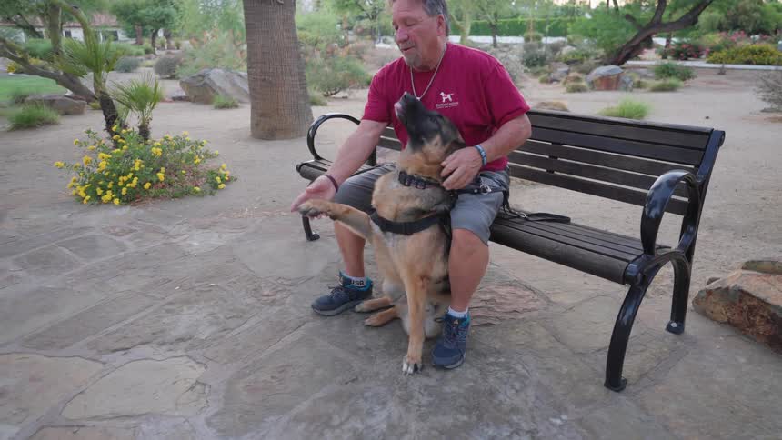 Large dog touching its paw to the hand of its owner who is sitting on a bench in the square