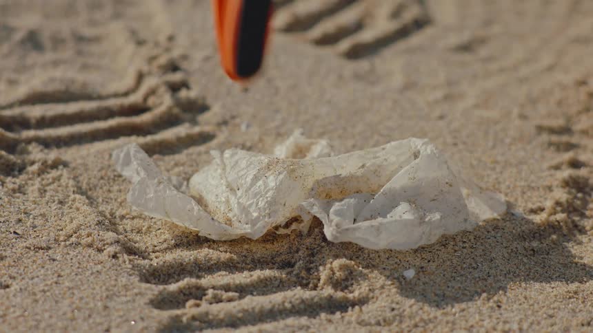 Plastic waste being collected from the beach sand