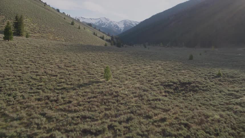 Low skim above the floor of a steep mountain valley with a snowy ridge line in the distance