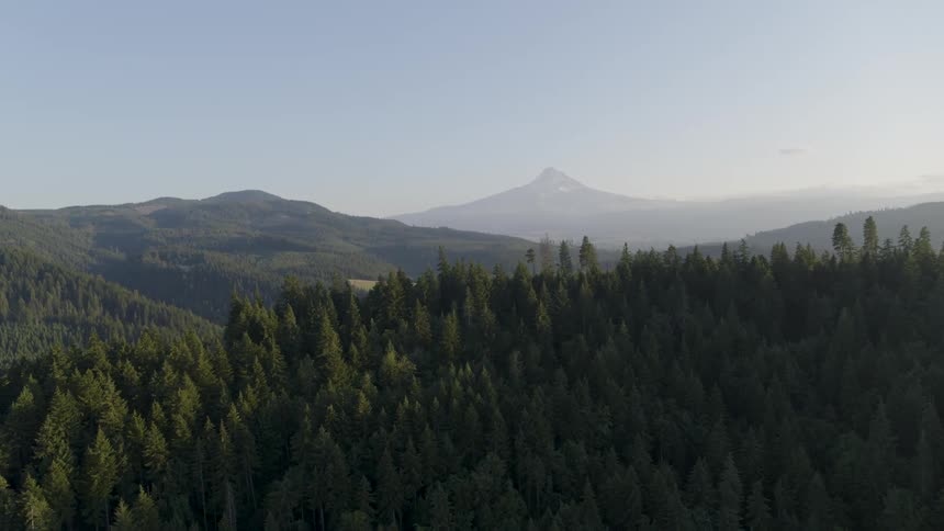 Mount Hood rises in the distance beyond the trees of a mountain valley