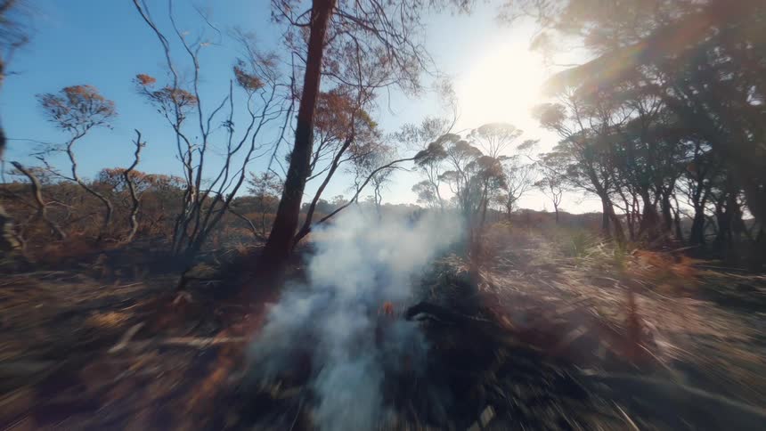 FPV Drone flies through burned forest filled with smoke
