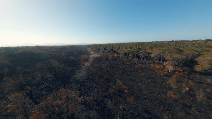 Aerial view of a field with forest and burned areas