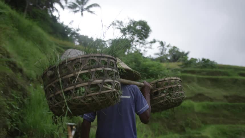 A man is carrying bamboo baskets on his shoulder