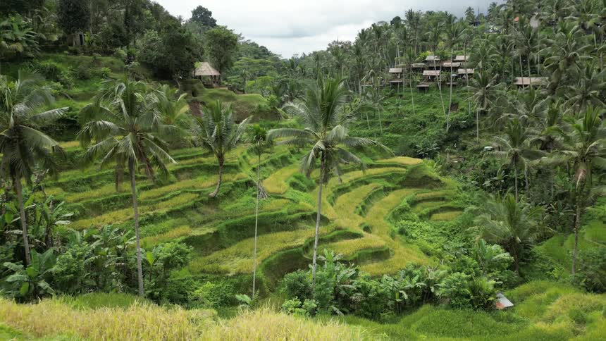 Two people walk on a path towards a jungle resort