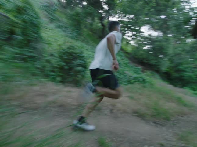 A person jogging along forest trail at morning
