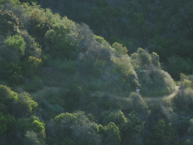 Man running on a trail up a mountain