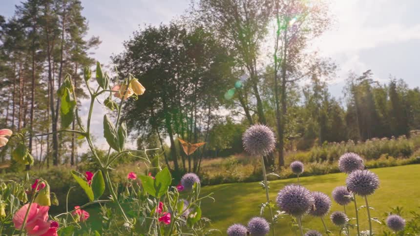 Butterflies flying near flowers in a garden