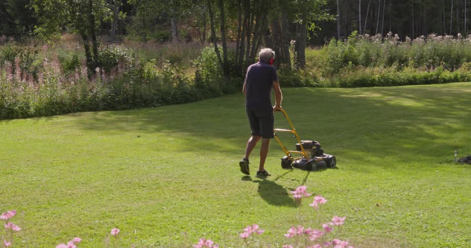 Man with a machine cutting grass in a yard in the garden