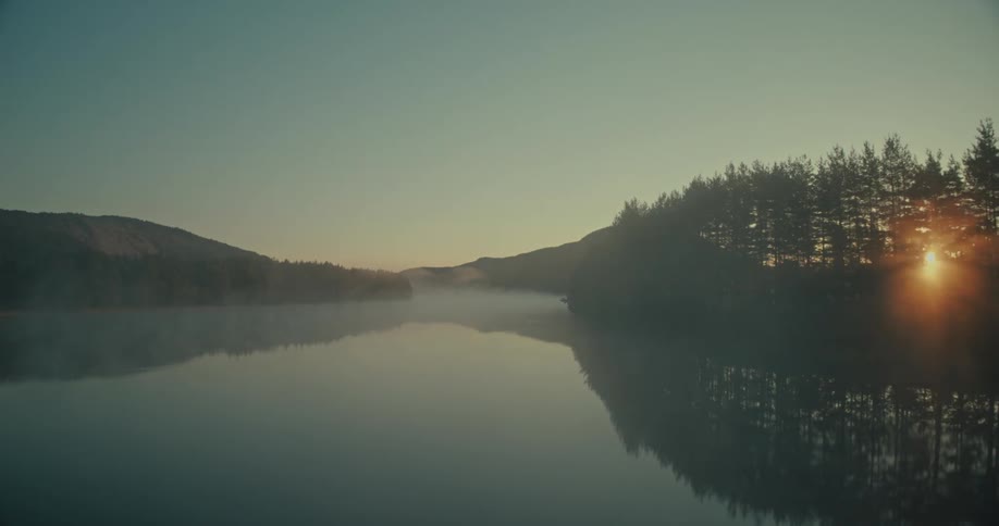 Several pine trees are shown lining a lake while the camera moves backwards along it