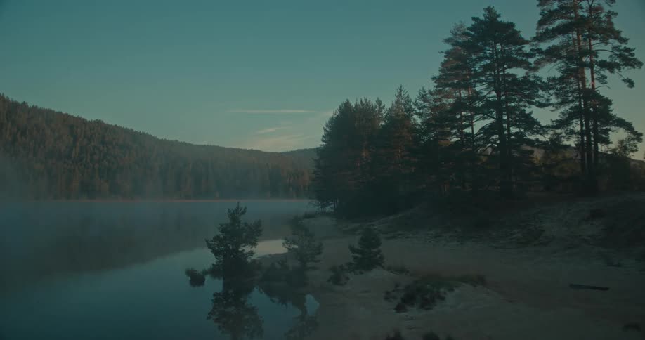 Landscape of a calm lake surrounded by a forest in a morning
