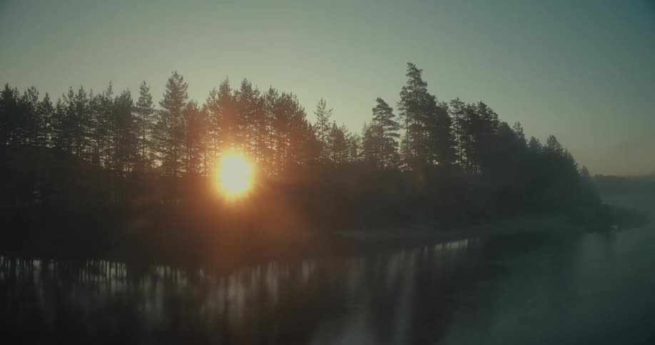 Sun shines through conifer woods on the lake shore on a foggy day