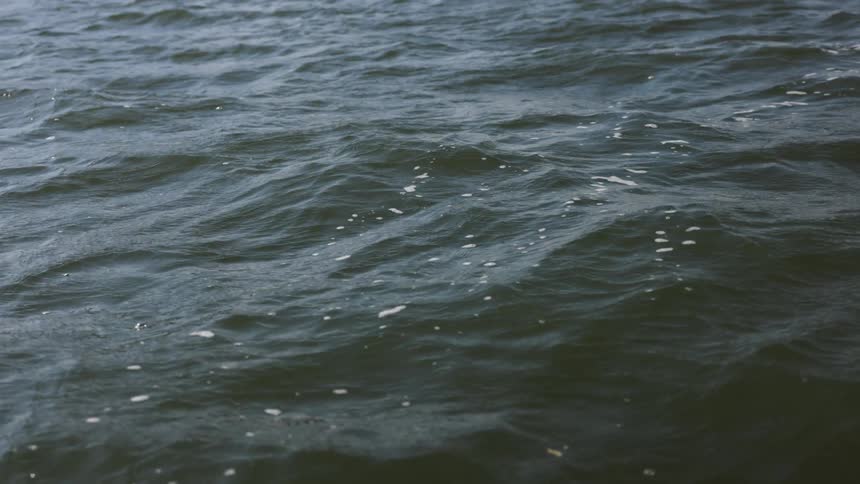 The ocean water is rough