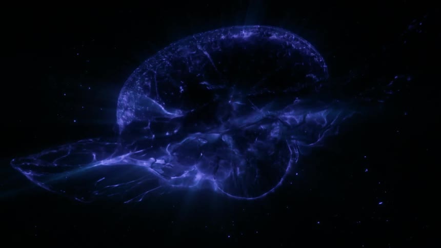 A cluster of electrical discharges forming an intricate network resembling an alien life form
