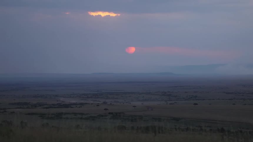 Landscape of flat vegetation and the red moon on the horizon