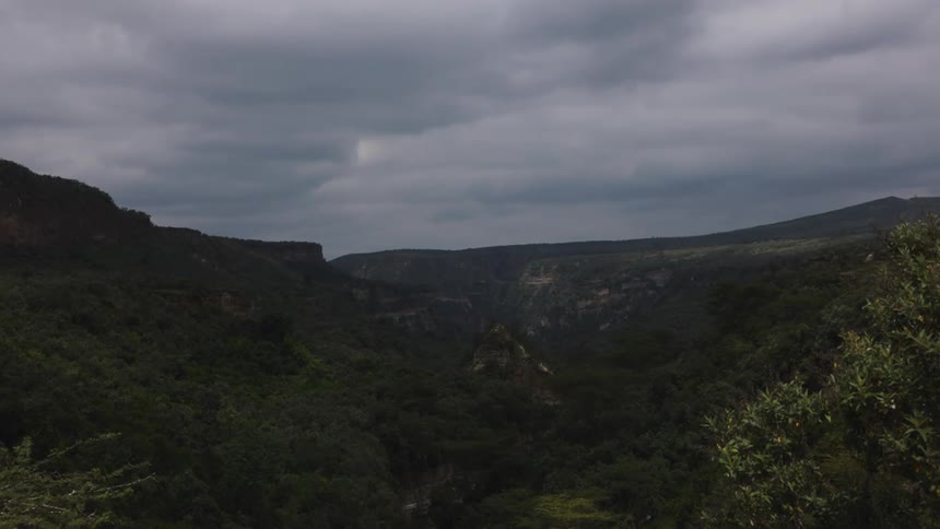 A valley with a large forest of trees with green leaves in a natural region with a gray sky of clouds