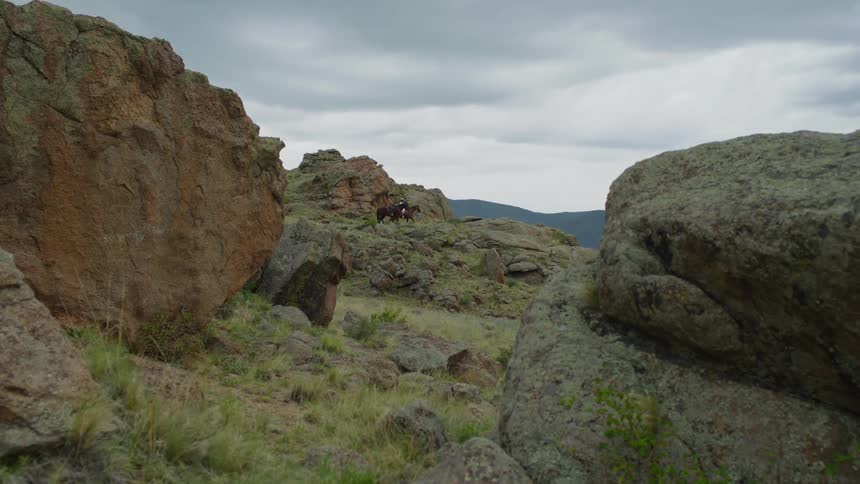 Two horses walking in a field with several stones of different sizes scattered around the environment