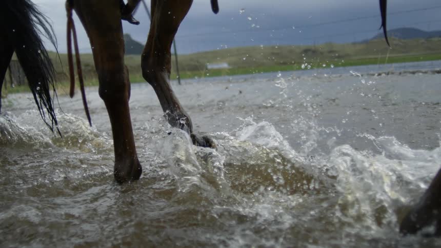 The legs of two horses splashing through water in slow motion with droplets flying around