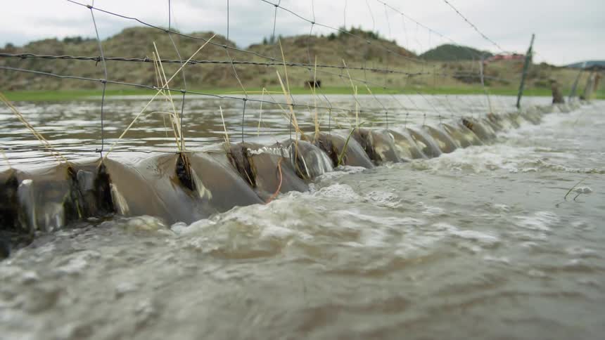 A net is in the stream