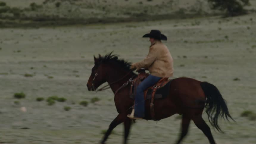 A man with a hat is riding a brown horse in a desert field