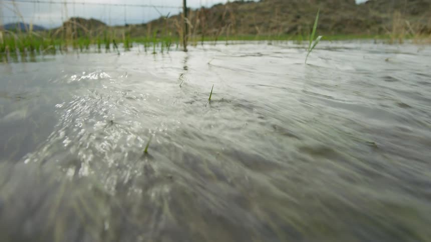 River flowing above grass