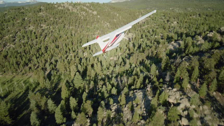 A small white singleengine plane flying over a pine forest