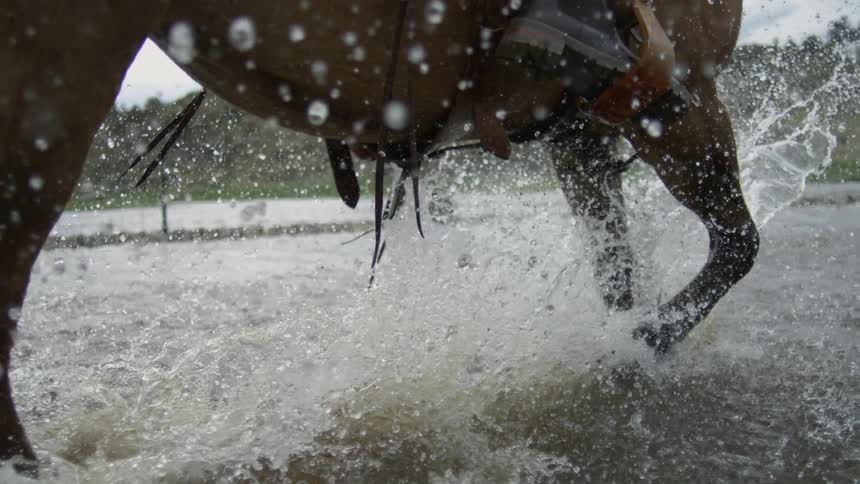 A horse galloping through a river splashing water