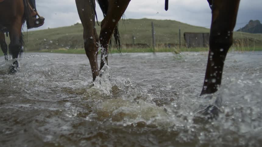 Two people ride their horses through a stream