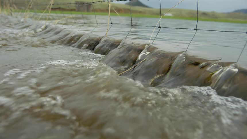 River water flowing through a fence in a natural environment