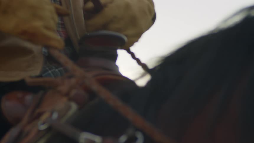 Gloved hands of a person guiding a horse