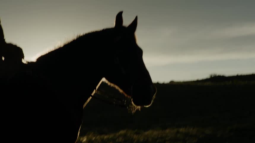 A silhouette of a person wearing a cowboy hat riding a horse against the backdrop of the sun shining in the background