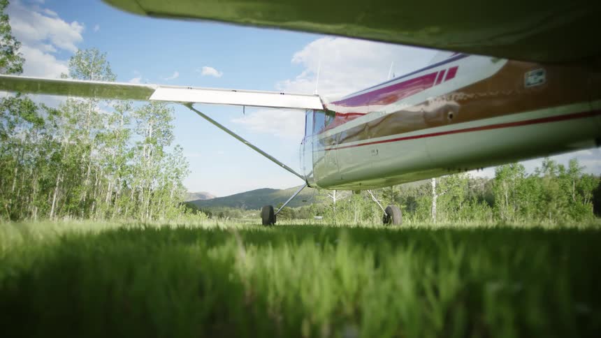 The plane is parked on the grass