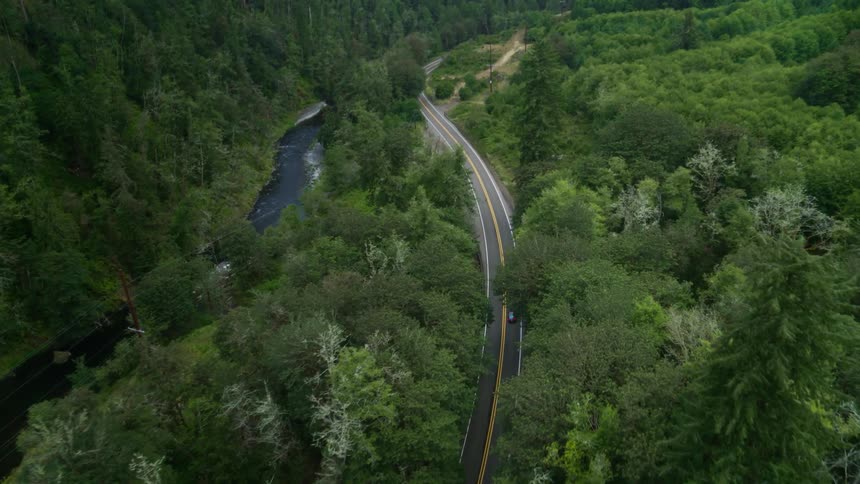 Vehicle travels through a forest on a highway paralleling a river