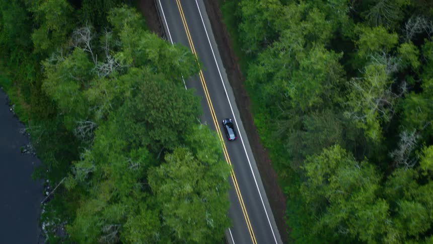 A car driving on a road through a forest