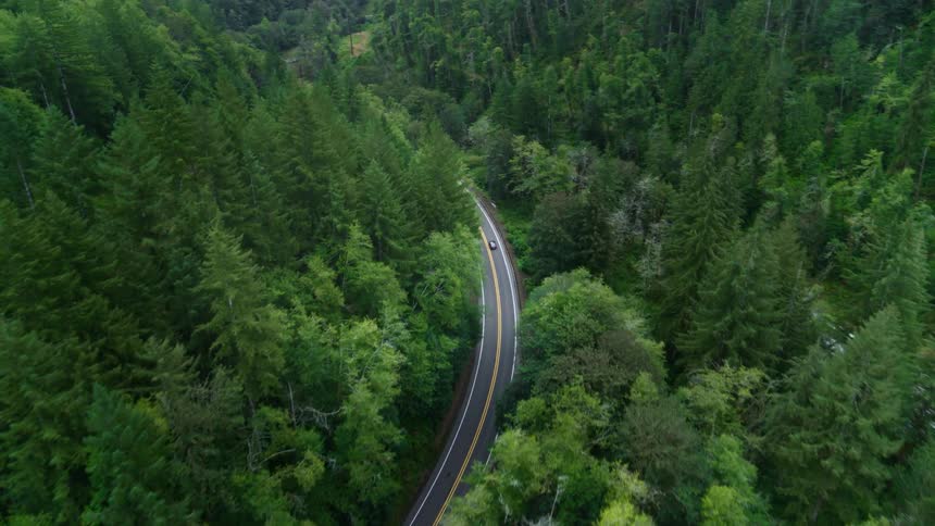 A car drives down a highway through a forested rural area