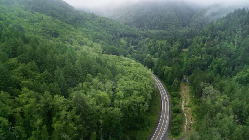 Fog rolls in as the car travels on the road