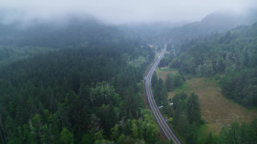 A road cutting through a forest