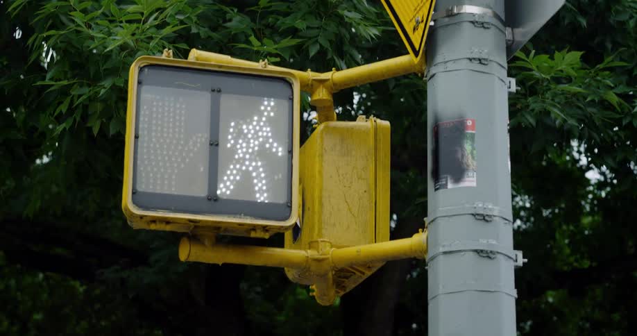 Traffic light authorizing pedestrian crossing