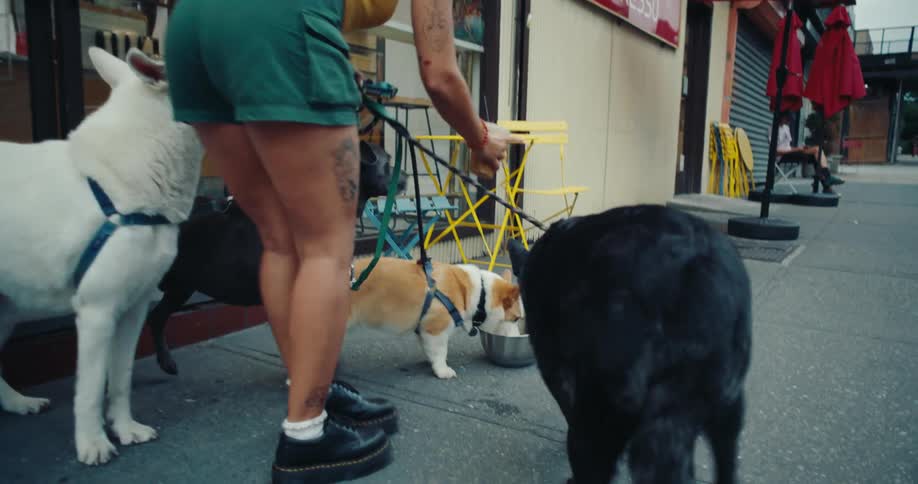 A young woman with three dogs on leashes comes out of a coffee shop drinking from a plastic cup then stops so the dogs and drink from a metal bowl on the street
