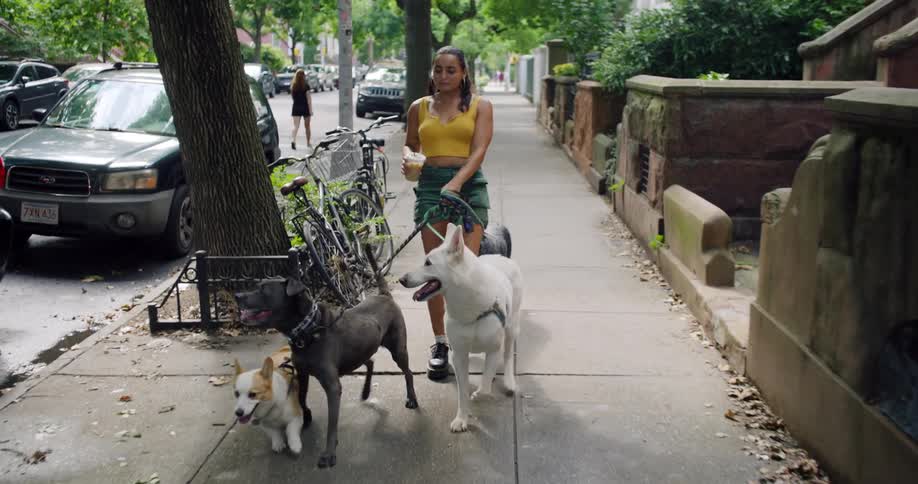 Woman walks dogs along a residential sidewalk passing a car parallel parking
