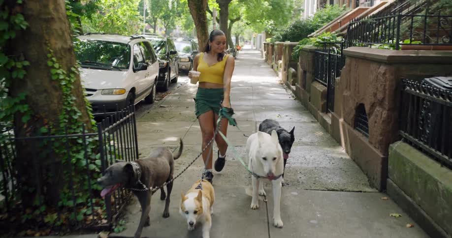 A woman walks several dogs on a sidewalk in an urban residential area