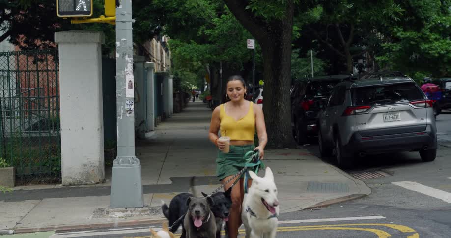 Woman crossing the street with four dogs