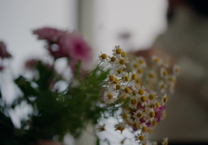 Different types of flowers and a blurred woman in the background