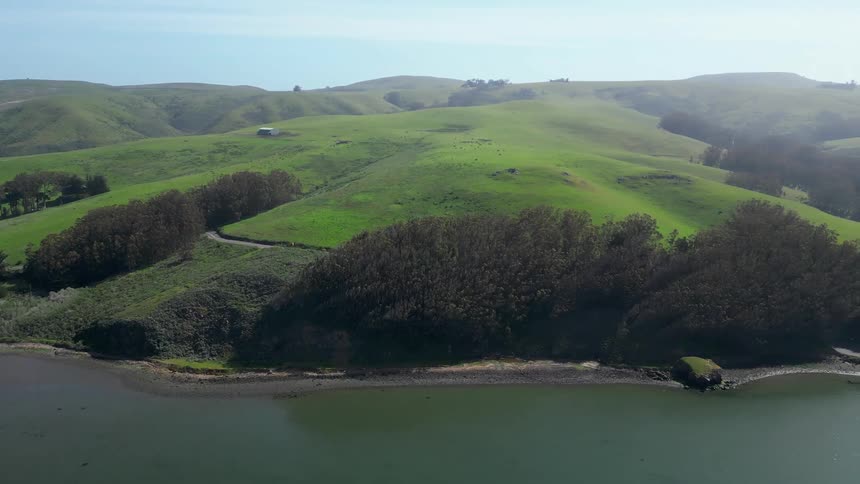 A lush green hillside overlooking a calm body of water with gentle slopes and sparse trees